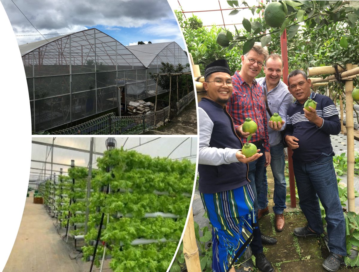 Two PUM #greenhouse experts gave a presentation at the Indonesia Sharia Economic Festival about   greenhouse technology and building materials &amp; equipment suitable for the Indonesian situation.
Looking forward to further collaboration with the Central Bank of Indonesia.