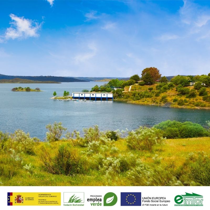 eimforsl's tweet photo. 🏞 Aprende conocimientos específicos sobre corredores ecológicos de la mano de profesionales de la ecología, ingeniería de montes y biología con más de 10 años de experiencia en #MedioAmbiente. 

⚠️Curso gratis con plazas limitadas 🗓️Hasta 12/11 
🌐 Info: https://t.co/4a0vec7ZXw https://t.co/FeCt9tvlag
