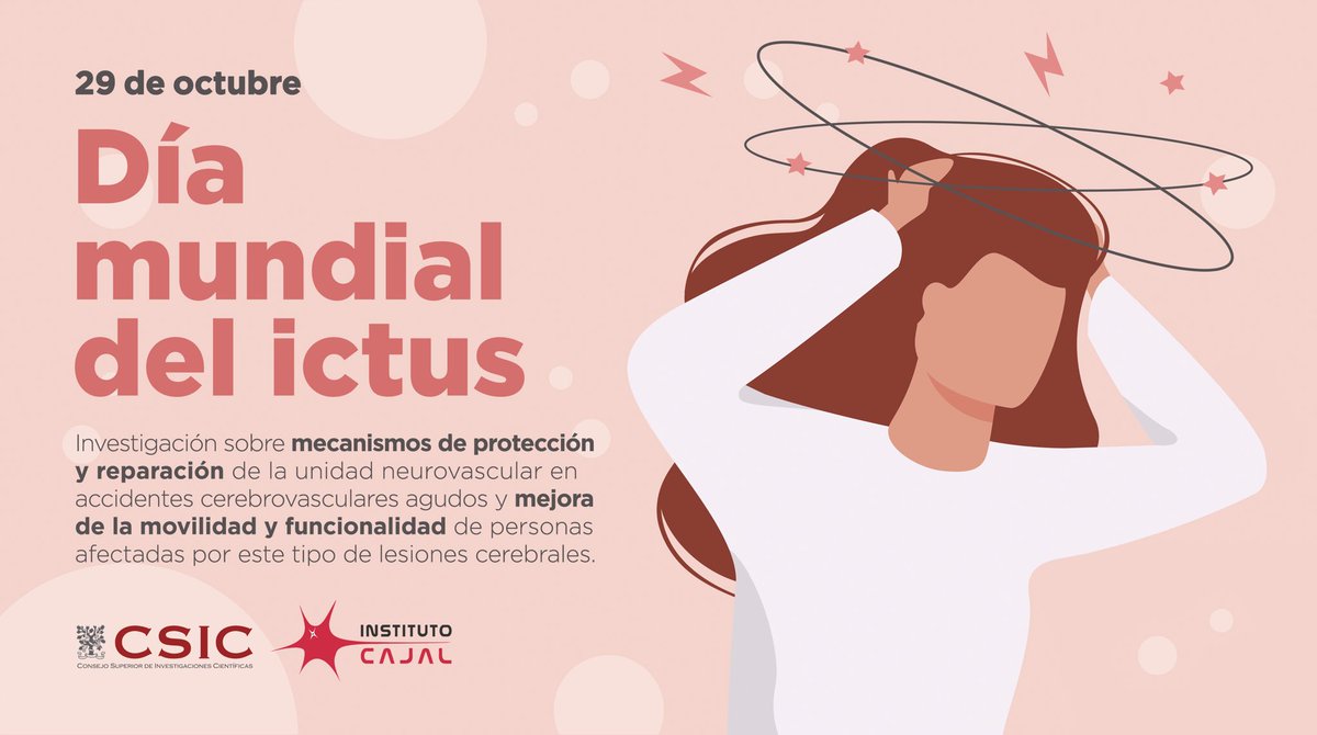 bibliotecajal's tweet photo. Las lesiones cerebrovasculares como el #ictus son responsables del mayor número de fallecimientos y suponen la primera causa de mortalidad en mujeres y la segunda en hombres en España. El @InstitutoCajal trabaja para hacer frente a esta patología. #stopictus 🔬🧠 https://t.co/RK6GIgOzdJ