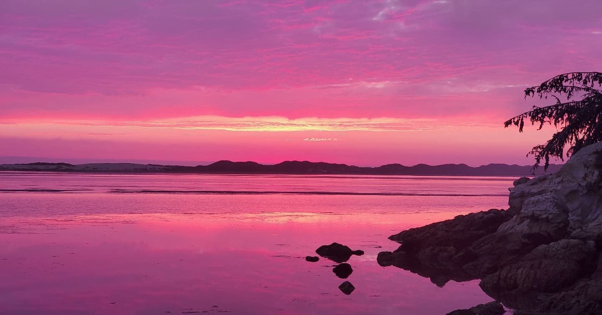 Visit Los Osos Baywood tweet media