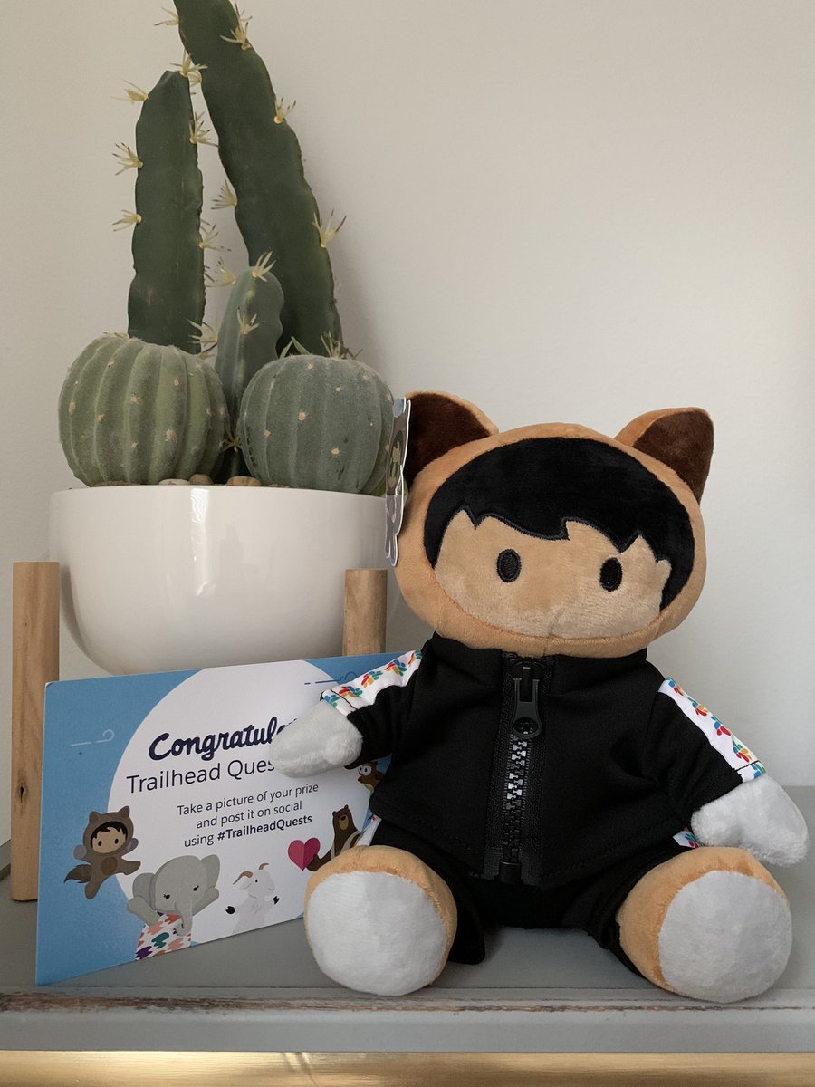 kylesemprini's tweet photo. Milestone moment: my first-ever #TrailheadQuests prize! 😁 (And my first @salesforce plushie) #Slackstro #Salesforce #Slack https://t.co/XVcA8iqhjA