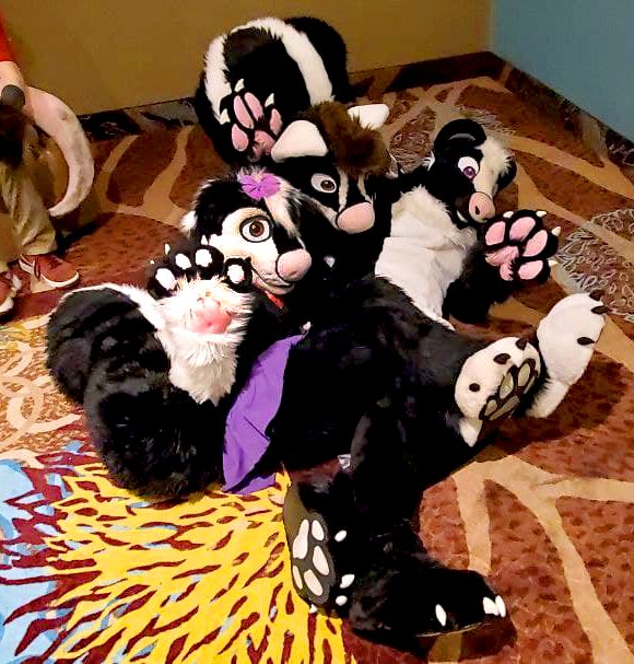 rowdynub's tweet photo. Skunkpileeeee 
#FursuitFriday 

@SnickersSkunk  @I_Kill_Spies 

✂️: @Pinu_Studios https://t.co/AU2D1mcp6c