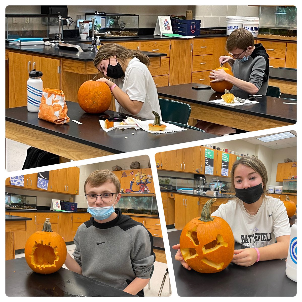 When 86% of your #anatomyclass is absent due to #seniorskipday you let the juniors have some fun. #pumpkinsofscience #sciencejackolantern #femuroffear #crossbones #virus <a href="/krcougars/">KRCougars_YB</a>