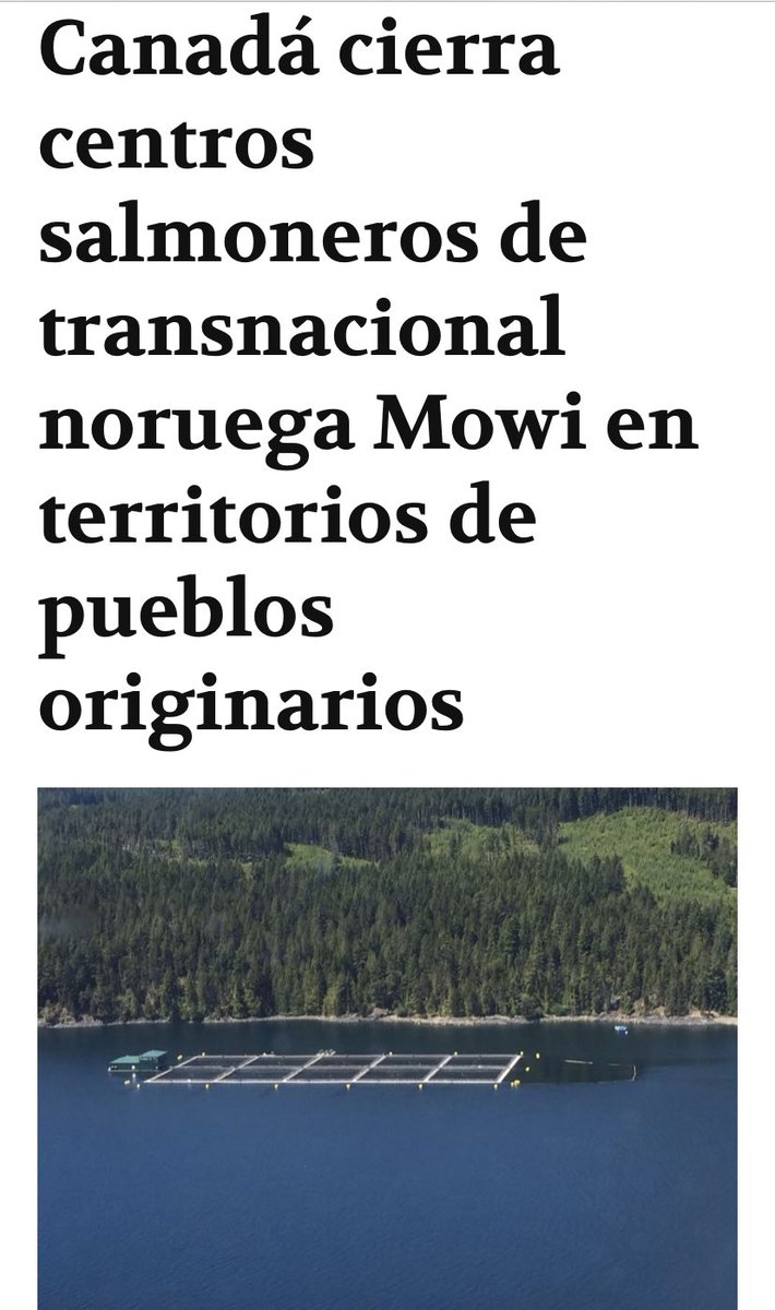 Miren esto : #Canada cierra centros Salmoneros de #Mowi en territorios de pueblos originarios. 
Ejemplo para #Chile .
<a href="/LeticiaCaro6/">Leticia Caro</a> <a href="/PuebloYagan/">Comunidad Indígena Yaghan de Bahía Mejillones</a> <a href="/max_bello_m/">Maximiliano Bello</a> <a href="/jorbritoh/">Jorge Brito Diputado</a> <a href="/AndreaGoreAysen/">Andrea Macías #GobernadoraAysén</a> <a href="/JorgeFlies/">Jorge Flies</a> 
radiodelmar.cl/2021/10/gobier…