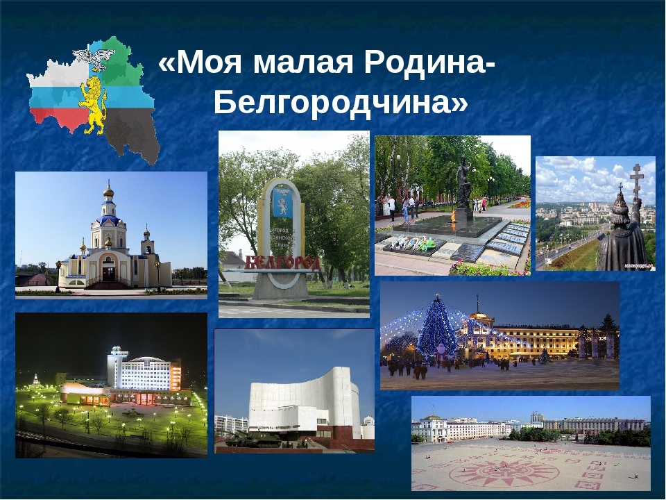 Г белгород белгород проект