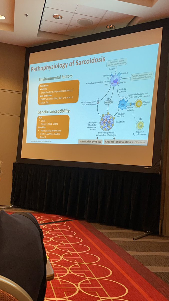 AmitGhosh006's tweet photo. @mn_acp Sarcoidosis update for internist https://t.co/JseUFgWStl