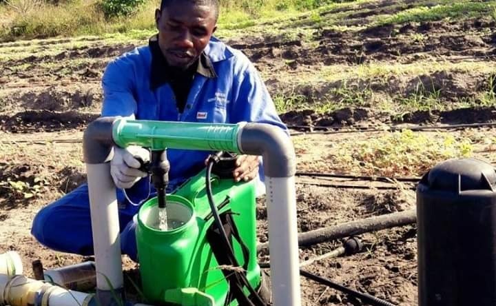 FAOTanzania's tweet photo. .@FAO works with the Government to strengthen the resilience of communities and ecosystems in the dry Miombo Woodlands of #Tanzania Mainland and #Zanzibar's Dryland, as well as to scale up horticultural value chains and promote climate change adaption technologies. https://t.co/lVJ7AIZX7t