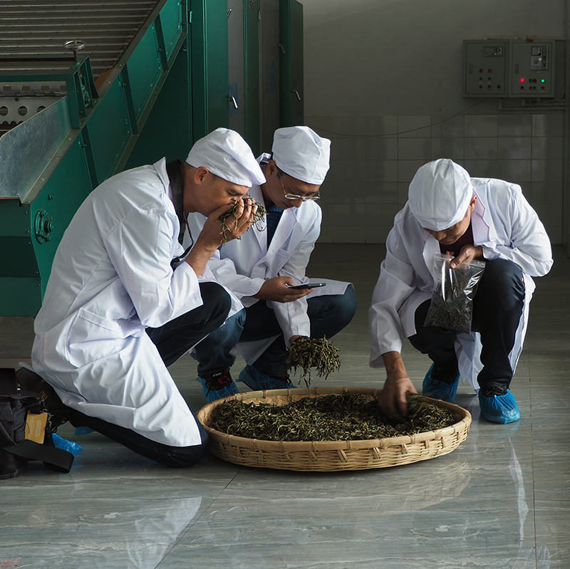palaisdesthes's tweet photo. “Tea sommelier dans l’âme” le nouvel article de @Fx.delmas est disponible sur le blog https://t.co/rpLJ68oDWl 👉https://t.co/gPpIMUqDym
.
.
#chercheurdethe #palaisdesthes  #thé #tea #blog #voyage #rencontre https://t.co/gsCCzisq2w