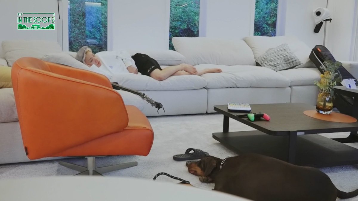 ZER0XBLACK's tweet photo. 🐿️🐶👀...💤 https://t.co/jMHTMMssZF