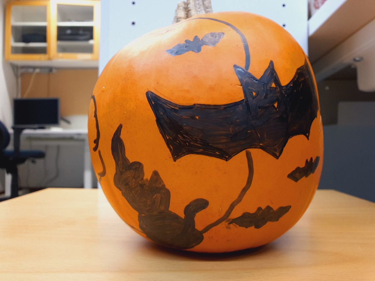 Pumpkin decoration with bat 🦇🦇🦇🦇🦇🦇group. Happy halloween!

#oncosyshalloween
#halloween2021 
#party
#pumpkin
@vVAri_93 <a href="/KaiyangZhang/">Kaiyang Zhang</a> @JunDai45733898 <a href="/IngaMaria_L/">Inga-Maria Launonen</a>