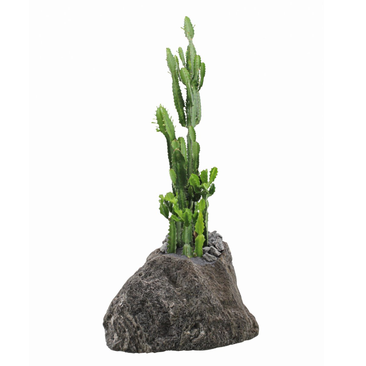 Looking to bring an exotic feel to your home? Look no further than the Euphorbia Acrurensis (Desert Candle Cactus) in a feather rock planter. shop.plantthefuture.com/feather-rock-p…