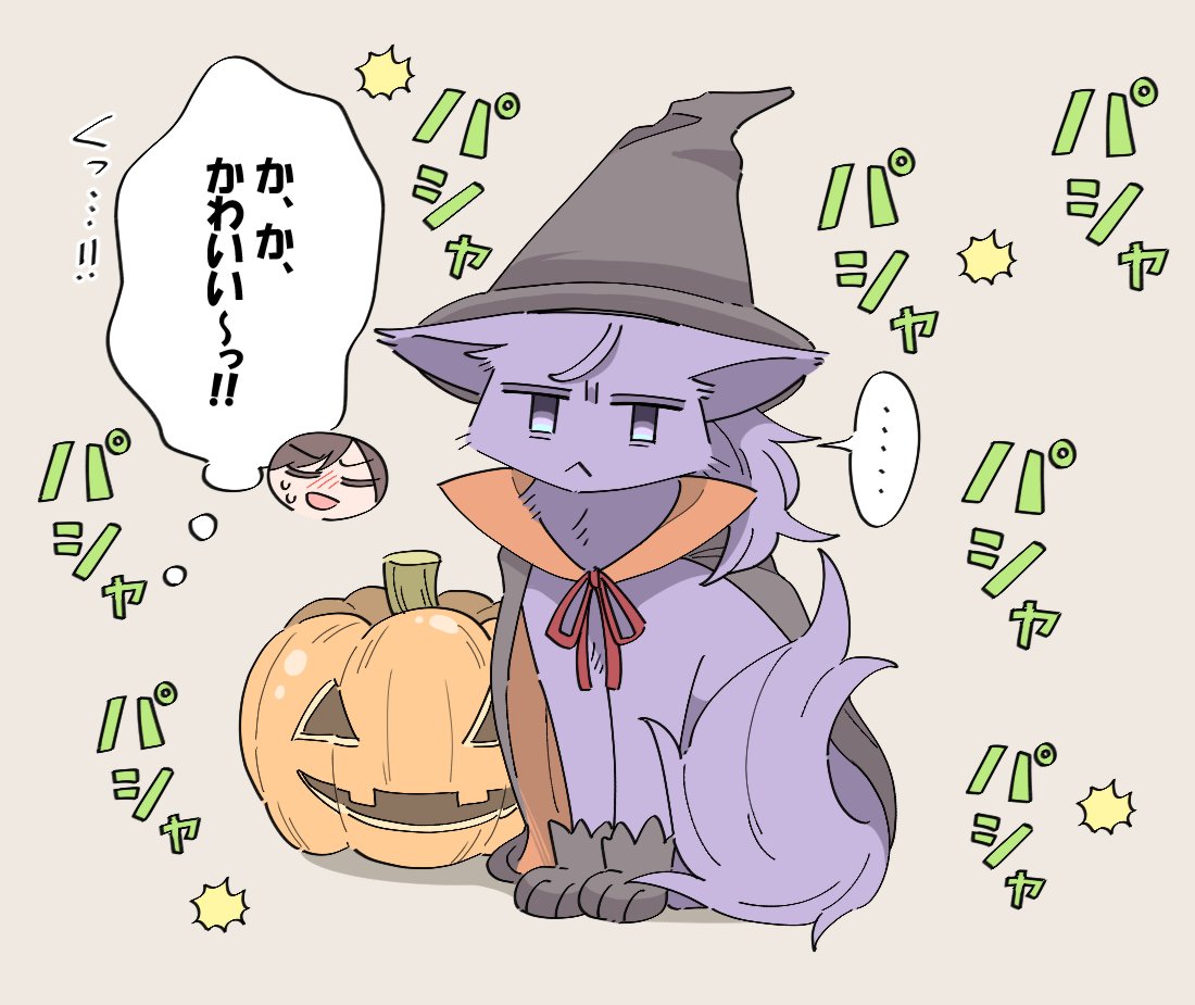 猫まふのご不満ハロウィン🐈 