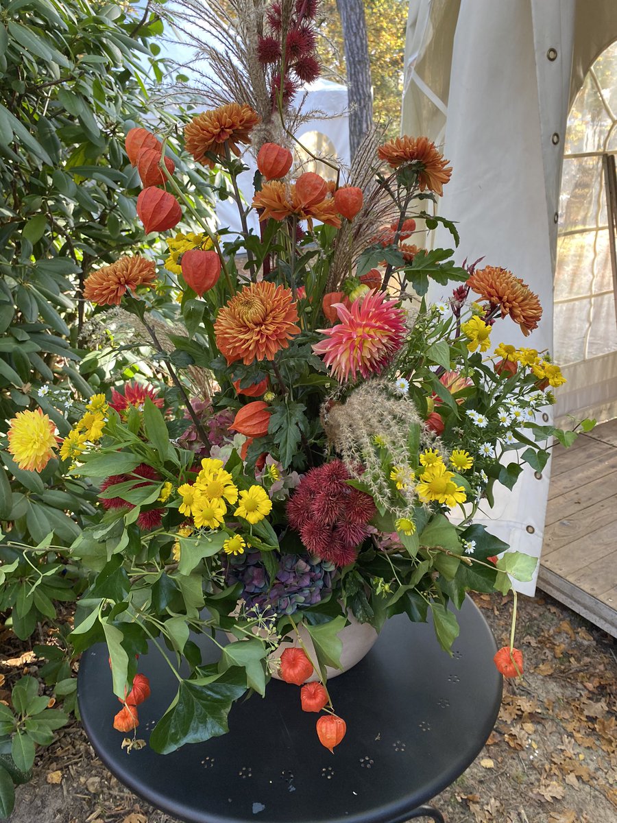 Visit De Lutte Losser tweet media