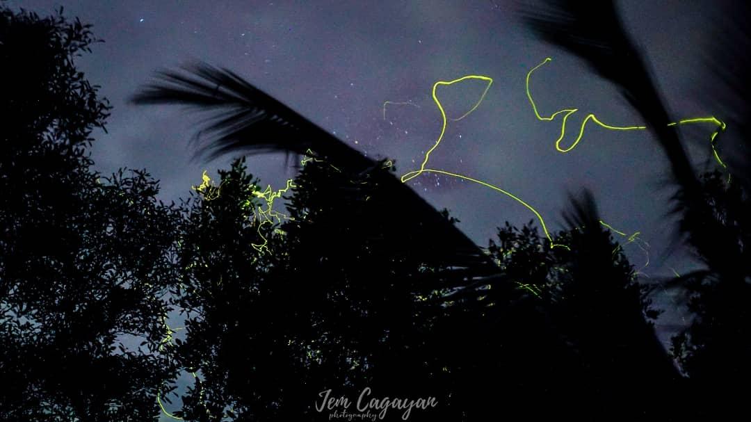 jemcagayan's tweet photo. 🎶 I'd get a thousand hugs
From ten thousand lightning bugs... 🎶
#fireflies
#lightningbugs
#nightlife
#nightwithnature
#sonyphotography
#photography
#landscape
#landscapephotography
#naturephotography
#natural
#nightshoot
#jemcagayanphotography
#vlogger
#sonyph
#sonyphotos https://t.co/BP0FfVjCsi