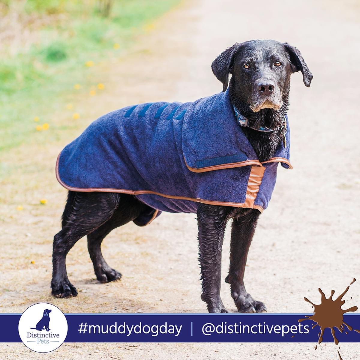 Who’s up for winning <a href="/RuffTumbleCoats/">Ruff and Tumble</a> mud drying coat &amp; mitts, <a href="/TheDogAndI1/">The Dog And I</a> soap on a rope, <a href="/PoochsTreats/">Pooch's Dog Treats</a> and <a href="/_thelittledog/">The Little Dog</a> mug this weekend post a mucky pup photo using #muddydogday to be in with a chance