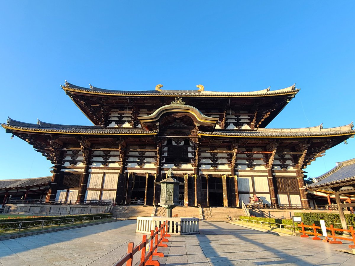 べティ tweet media