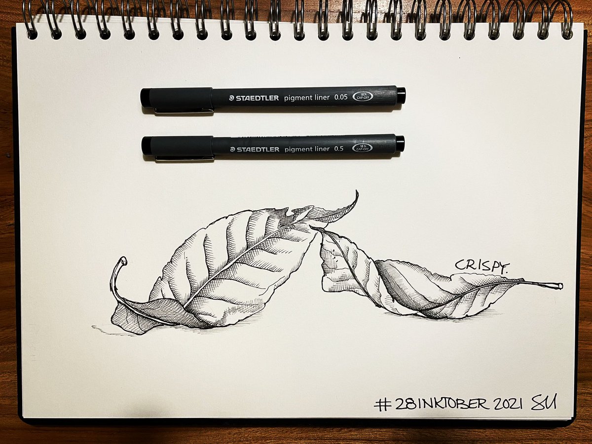 Day 28 of #inktober2021  - Crisp leaves….