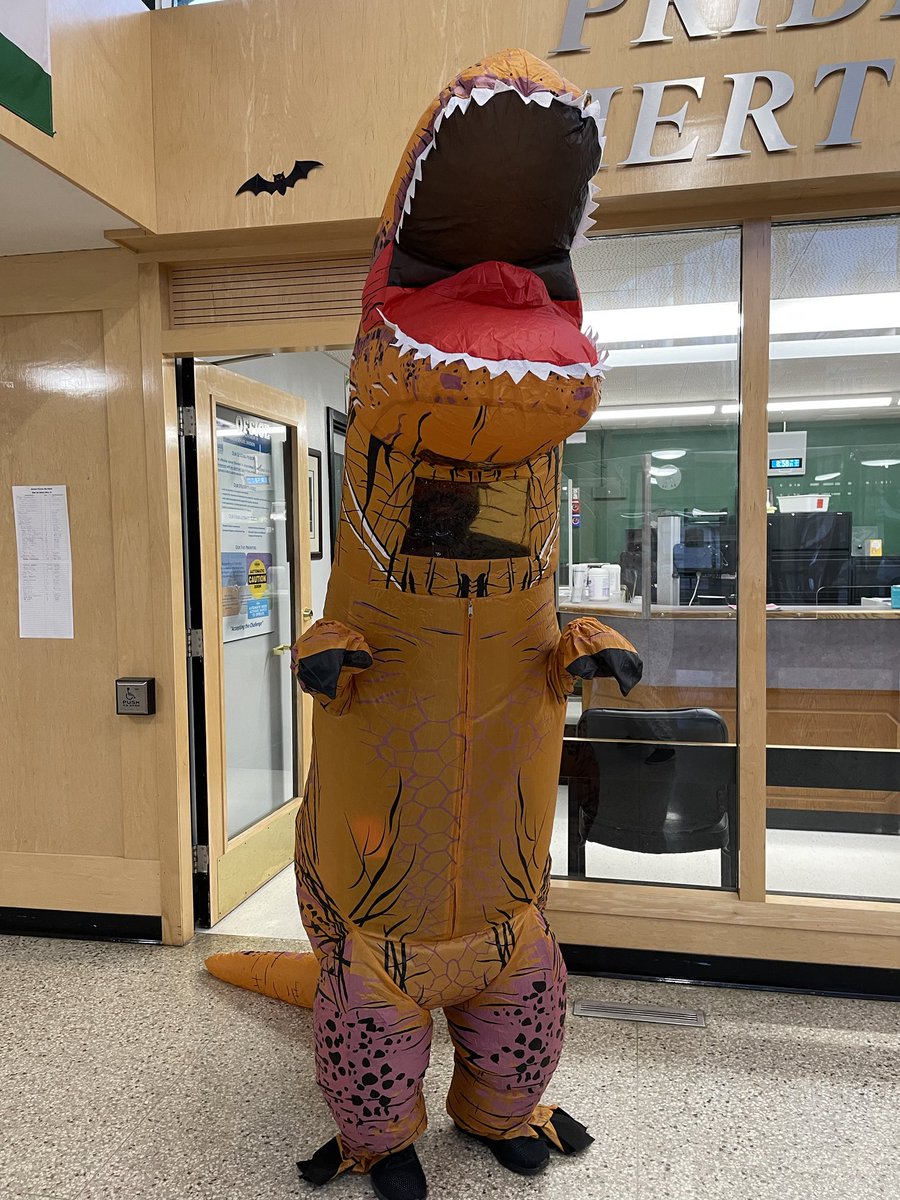 Happy Halloween!!🎃 #bdnmb #BSDSchools