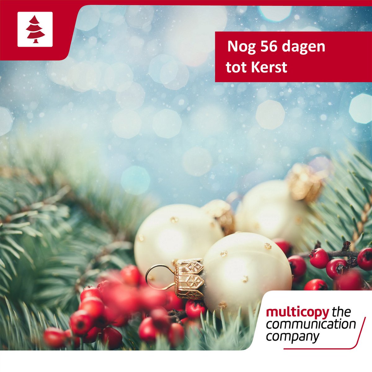 MCflevo's tweet photo. De blaadjes vallen alweer van de bomen en de dagen worden kouder en korter. Nog even en dan is het al Kerst! Wees er dus op tijd bij en bestel vandaag nog je kerstkaarten.

#multicopy #almere #lelystad #Kerst https://t.co/DOfZHg4585