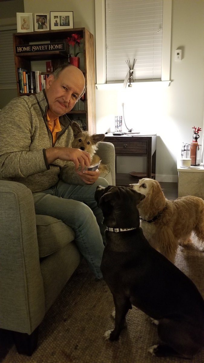 UKUSCAdoggie's tweet photo. Treat time at our house...Simon, Tilly and Roxy's favorite time of day! ❤❤❤
#RescueDogs #rescuedwithlove #pittiemix #terriermix #cockermix https://t.co/gOeOwuwjBN
