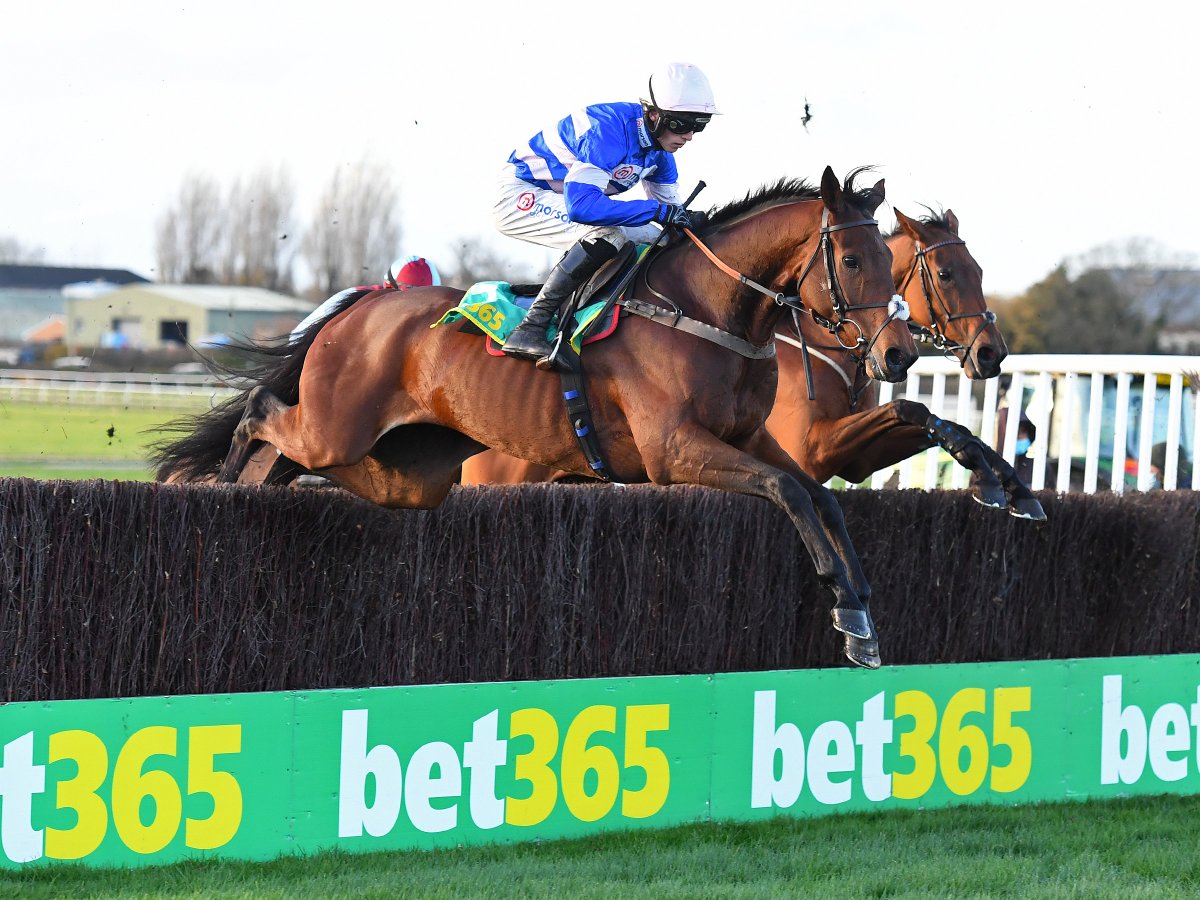 WetherbyRaces's tweet photo. Will Cyrname defend his title today in the @bet365 Charlie Hall Chase? 👑

#charliehallchase @pfnicholls @cobdenharry https://t.co/Oj2NE29t0D