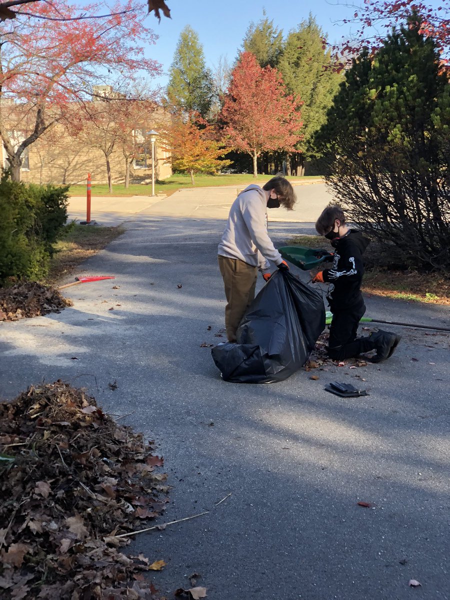 Stephen Amoroso tweet media