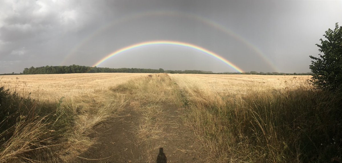 Bald_Guy's tweet photo. @BBCNews Nature is a wonderful thing https://t.co/exxifESqKz
