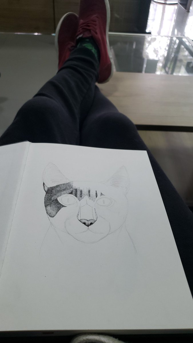 Mientras le hacen mantenimiento a la motito😺