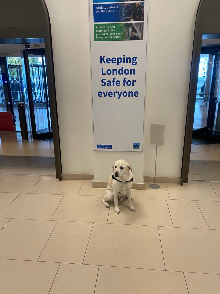 Our new recruit is proving a hit with everyone he meets @metpoliceuk Today,PWD Hugo visits our Crime Scene Examiners.This group of dedicated staff can see truly the worst things in their essential role #keepinglondonsafe @MetTaskforce #mentalhealth #DogsofTwittter @OscarKiloNine