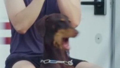 namedillegirl's tweet image. *hobi’s water rocket blasts off*
bam: 🤯