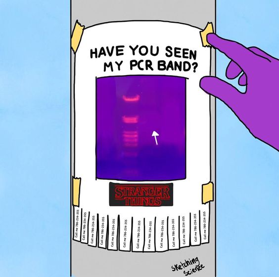 Talk about a horror story!!👻💀💀

Don't let your #PCR bands go missing this #Halloween!🎃 😂😂

#biotechnology #molecularbiology #lifesciences #sciencememes #scimemes #laboratorylife #lablife #labmemes #halloween2021
