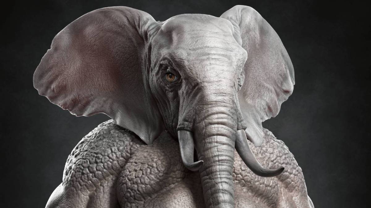 elephant_secret's tweet photo. Aspirants and Members,

Retweet to qualify for the next challenge.

This will be an easy one, hint in 2 hours 🤫🤫 https://t.co/JBsFpy7gpG