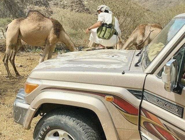 اللهم عفوك ورضاك ❤