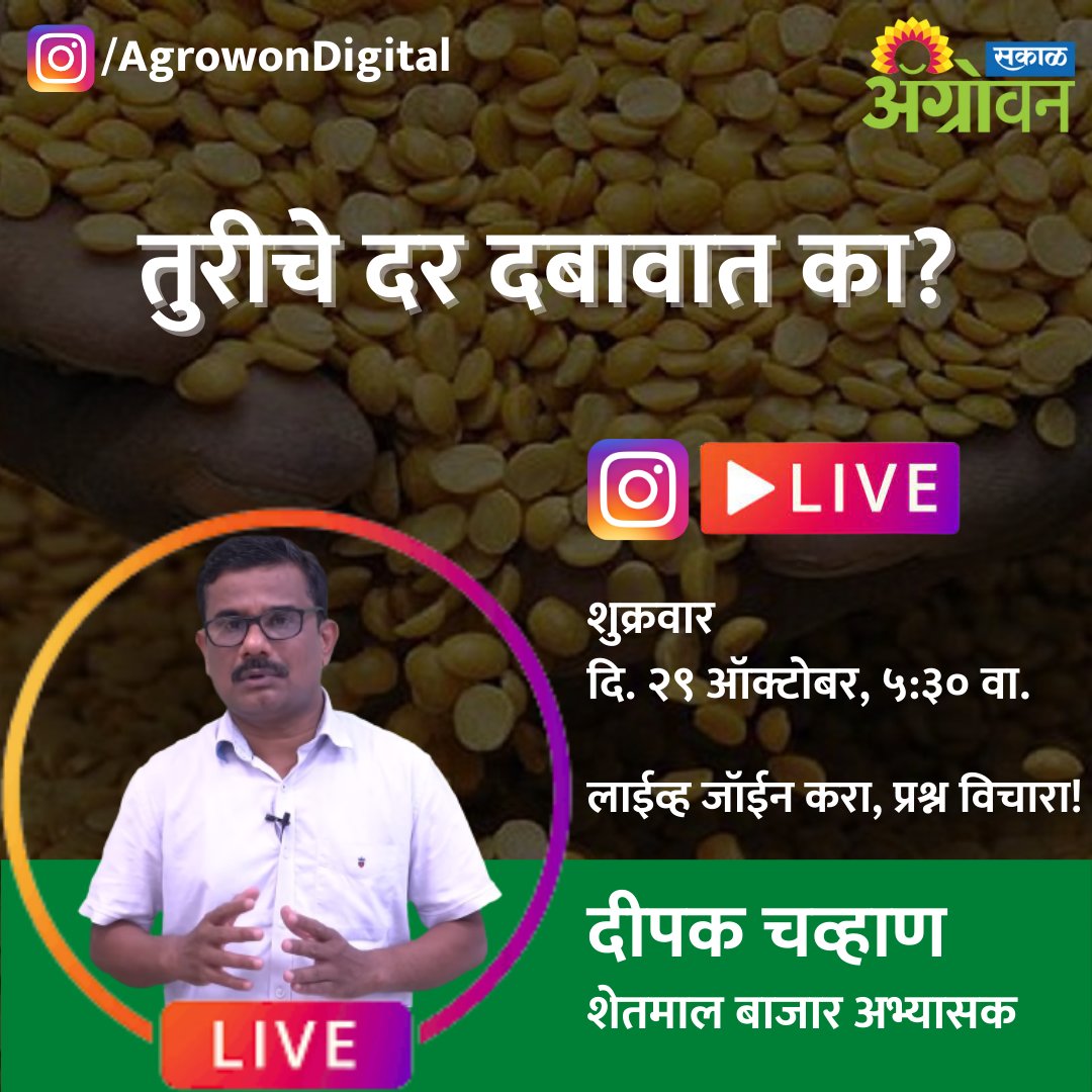 AGROWON's tweet photo. शेतकरी म्हणून आपल्यासाठी या चर्चेचे महत्त्व काय?
आजचा विषय: तुरीचे दर दबावात का?
लाईव्ह जॉइन करा, प्रश्न विचारा!
आज संध्याकाळी ५. ३० वा
https://t.co/wRolE5lpMk
.
.
.
#AgrowonDigital #Agrowon #InstaLive #Live #DeepakChavan #शेतकरी #तूर #तूरडाळ #Turdal #farmer #farmersmarket https://t.co/V1nsPg9x0A