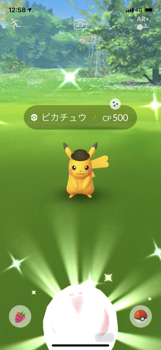サファリゾーン サファリゾーン