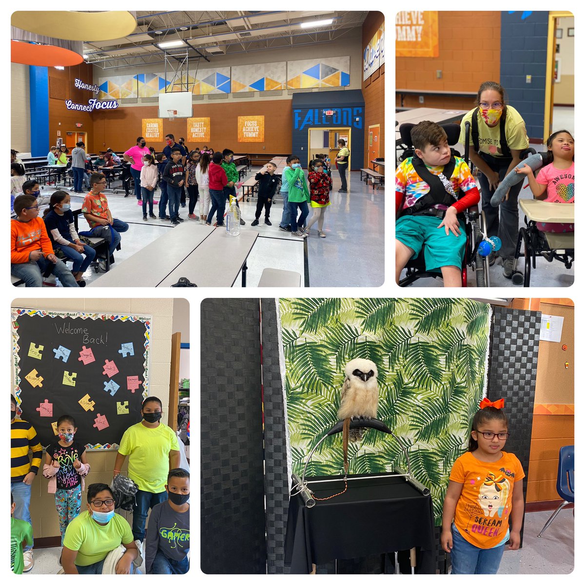 ddefalcons's tweet photo. Bright colors and Animal Adventures. Whoo Hoo!  Falcons having fun!! #BeCanutillo #ddefalcons. #redribbonweek2021 @ddefalcons @APDDEProud @mstrobach2 https://t.co/Q38woa7XxW