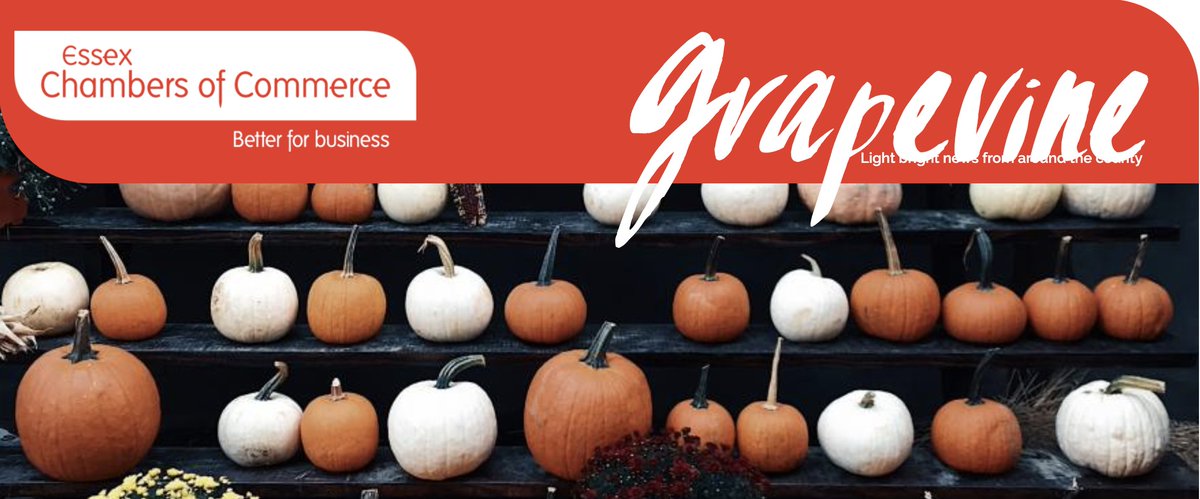 EssexChambers's tweet photo. 🍇 Check out the new issue of our member's publication - Grapevine!

😃 It contains success stories from Essex businesses including @c2c_Rail, @birkettlong, @WoodlandGroup, @Beresfords and more

📰 Read: https://t.co/q0LKfRkyR4

📩 Sign up: https://t.co/pCELJGT7hC

#EssexBusiness https://t.co/LeOVjP2vnD