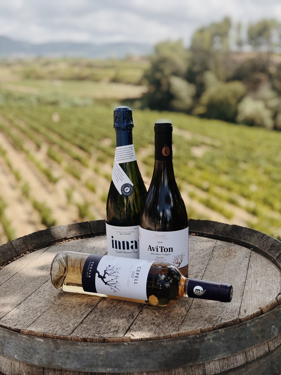 bodevibcn's tweet photo. ¿Quieres conocer 3 vinazos de @EudaldMassana (D.O. Penedès)? 🤔
¡El próximo jueves 4 de noviembre a las 19:30h tenemos la cata en directo!
¡No te lo pierdas! Regístrate aquí 👉: https://t.co/qkSKyuhOlI
#bodevi https://t.co/gCOimTwf7x