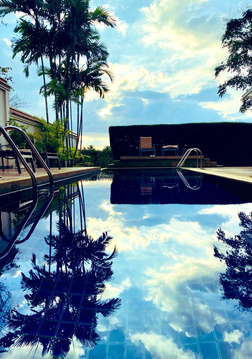 rdr_dogtrainer's tweet photo. Is there a better way to listen to @bbctms than whilst lounging in the pool…? @Cricket_Mann 😎😬 https://t.co/yFe8WNmx5X