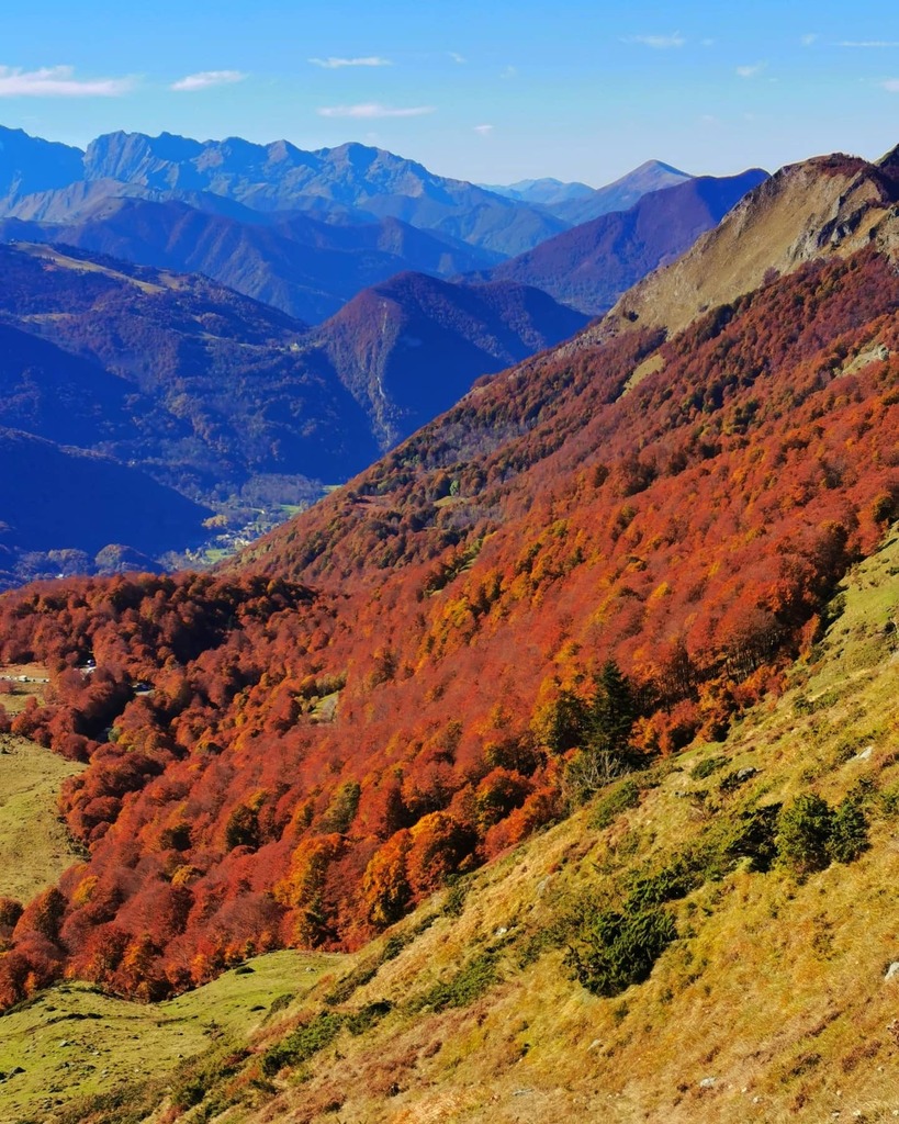 nadasto's tweet photo. Mais c'est beaaaaau 🥰🤩🤩
Oui ?
J'aime l'automne quand il ressemble à l'été avec les 🍂 en plus. Pour le reste, rendez-vous juste aux premières neiges féeriques et au printemps 🌷🌼🌺
Bonne année 🙂
.
.
#pyrenees #ariege_ig #hiking #jaimelespyrenees #a… https://t.co/bYaJM7yL63 https://t.co/RDtnD6OLUy