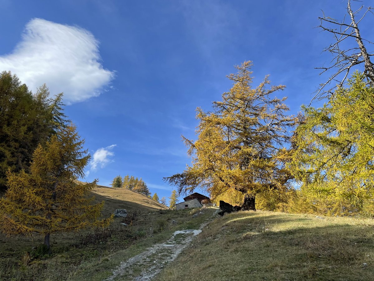 Nick65er's tweet photo. Es herbstelet in den Bergen 🍂🍁 https://t.co/wGbyhZlnKp