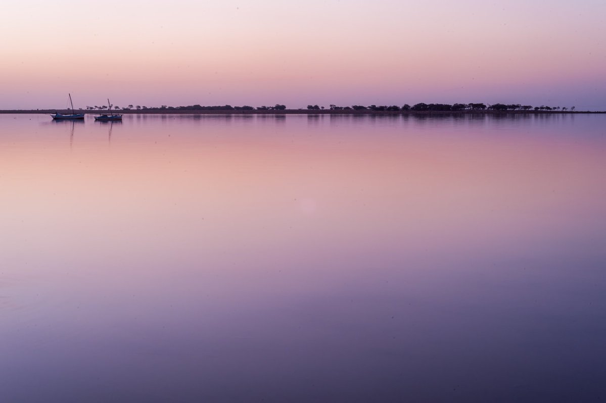 AfrikyaTN's tweet photo. .. joyfully floating in the air, diving deeper into serene, southern #Mediterranean, before we land on the shore of a timeless #island: Kerkennah, far from everything, blending with shades of pink, pictured on #sunset by @amine_chouikh, eastern #Tunisia.. Peace! https://t.co/oMXIjho5pX