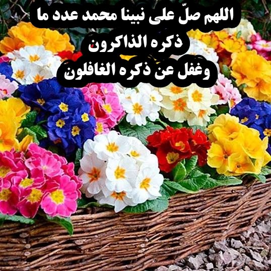AL_Sheakhah's tweet photo. #ساعه_استجابه https://t.co/5TISFuyKu6