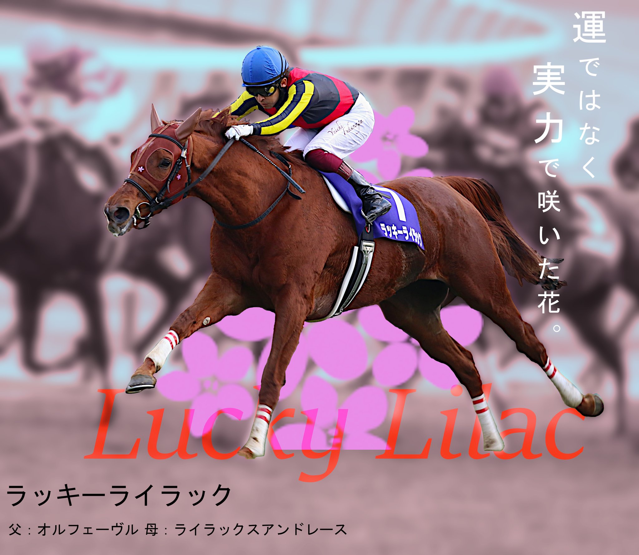 競馬　ポスター　ラッキーライラック umapicture_memory | ラッキーライラックを知っていますか