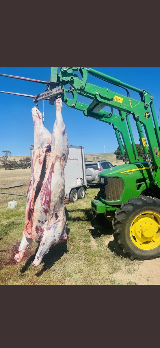 Donava Holsteins tweet media