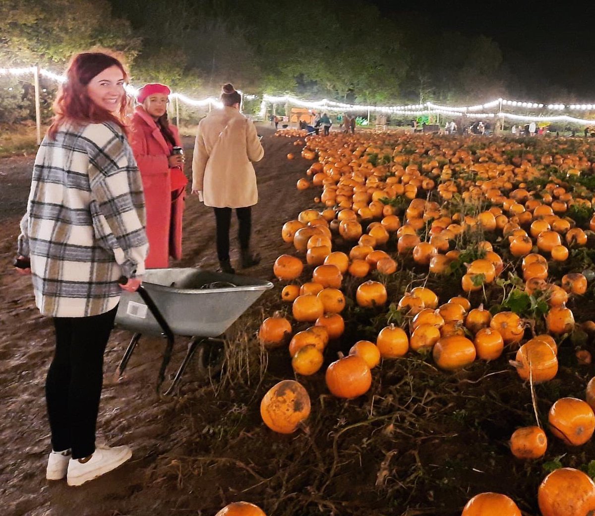 Ellie Grace tweet media