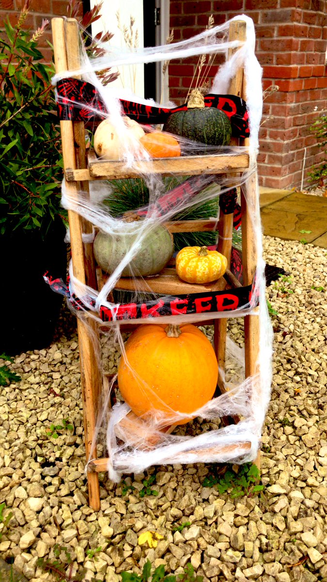 The all important Halloween prep has started 🎃👻