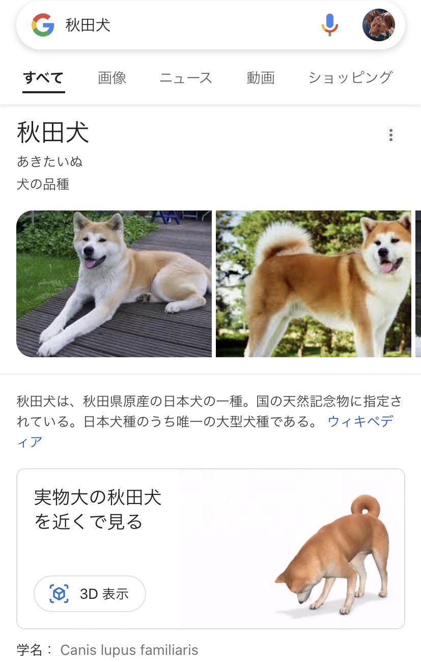 Pinkpearl える Akitainuho お姉さん 誰でも秋田犬をおうちにお迎えできる方法を知りましたのでやってみてください Googleで 秋田犬 と検索して 実物大の秋田犬を近くで見る 3d表示 と指示通りにやっていくとわかると思います お部屋に Pinkpearl える Akitainuho お姉さん 誰でも秋田犬をおうちにお迎えできる方法を知りましたのでやってみてください Googleで 秋田犬 と検索して 実物大の秋田犬を近くで見る 3d表示 と指示通りにやっていくとわかると思います お部屋に