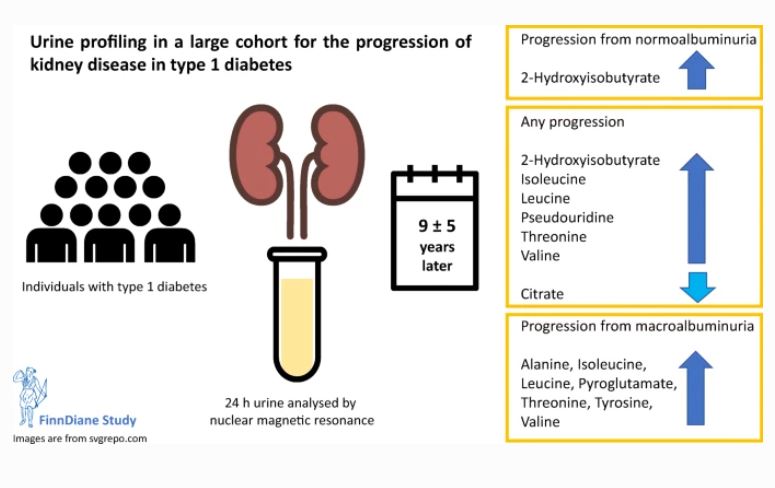 Diabetologia tweet media