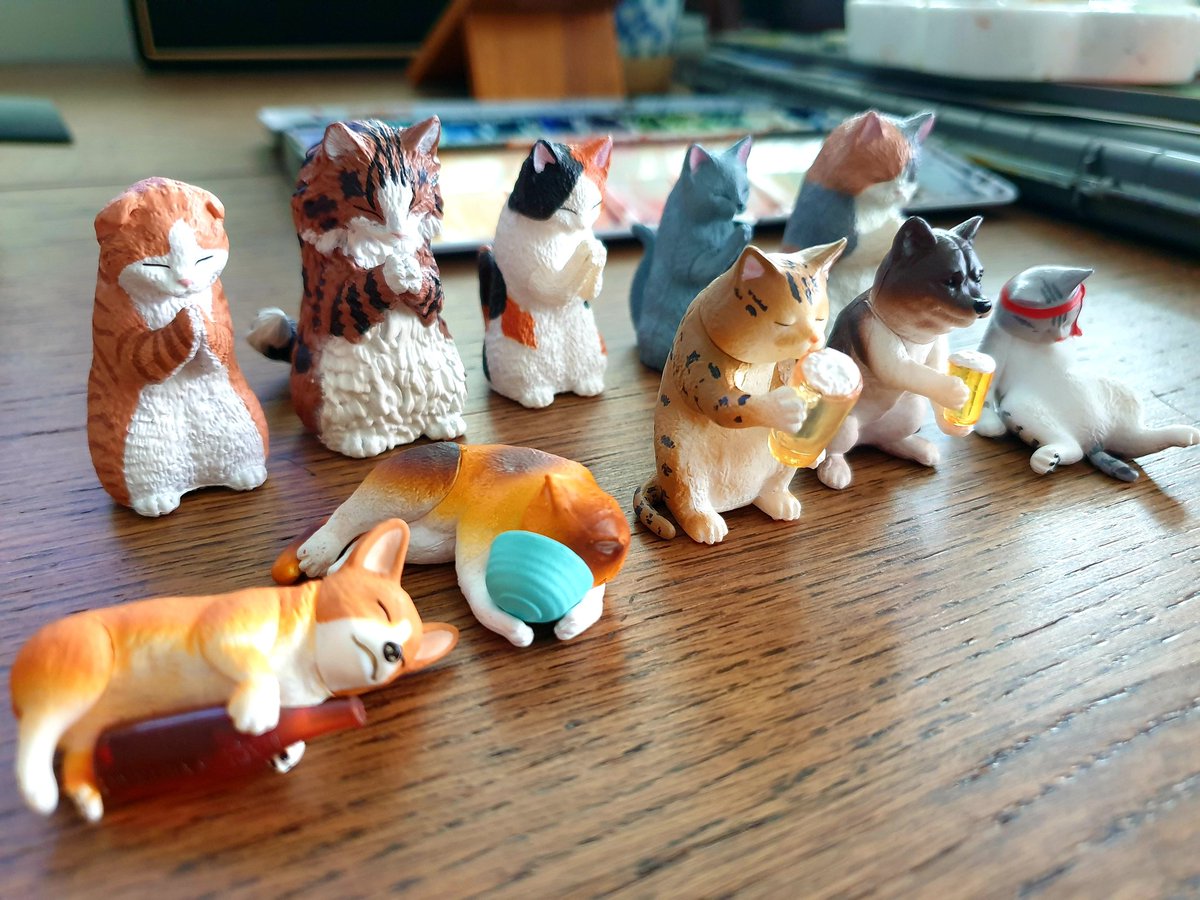 Good evening guys⛅
Umm...I think I need to stop buying gachapon😂

กดเก่ง กดไม่หยุด!!